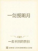 一剑揽明月